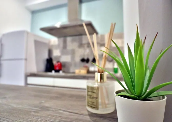 Apto Nuevo-junto Mezquita-con Parking Opcional Lejlighed